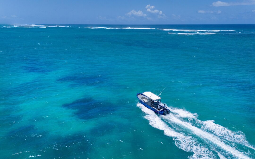 Top 10 Things to Do in Diani Beach, Kenya