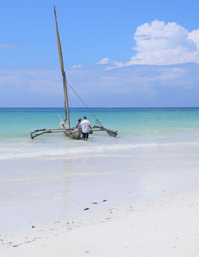 Crystal-clear turquoise waters and palm-lined coast at Almanara, Diani Beach